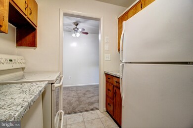9 E 15th St unit 21, Frederick, MD 21701 - photo 4