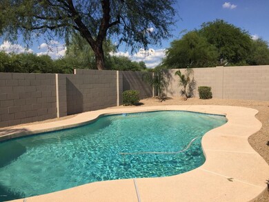 Sparkling Pool and Palms