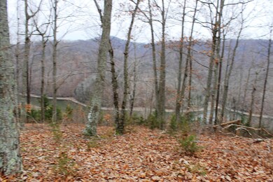 IMG_7272
