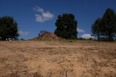 60 Green Cove Dr, London, KY 40744 - photo 2