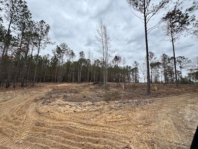 3479 Bastonville Rd, Gibson, GA 30810 - photo 3