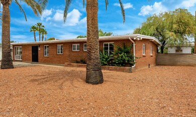 02 Front yard II