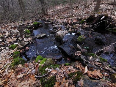 0 Hale Rd, Hubbardston, MA 01452 - photo 4