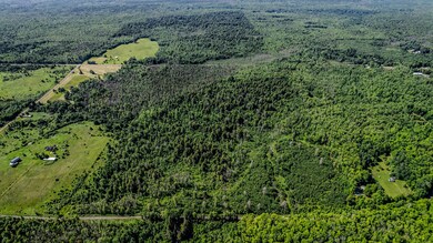 DJI_0039