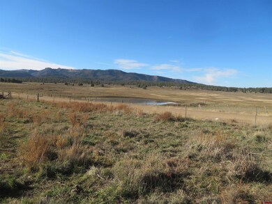 4086 County Road 700, Pagosa Springs, CO 81147 - photo 4