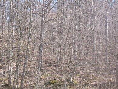 1391 Long Branch Rd, Oneida, KY 40972 - photo 6