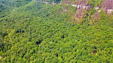 1 Woodcock Rd, Dunlap, TN 37327 - photo 3