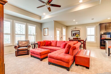 10827 Yaupon Holly, Helotes, TX 78023 - photo 7