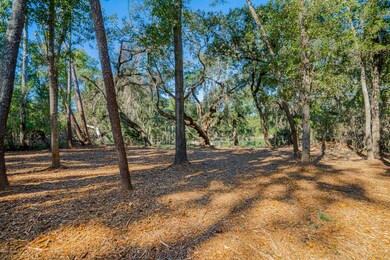 _DSC6800