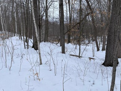 tbd Pebble Pass, Cushing Township, MN 56443 - photo 7