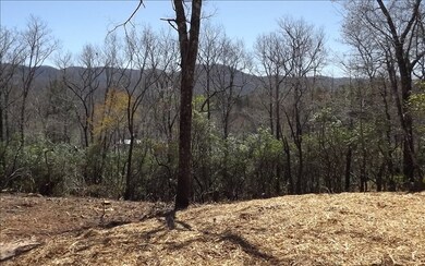 Additional View