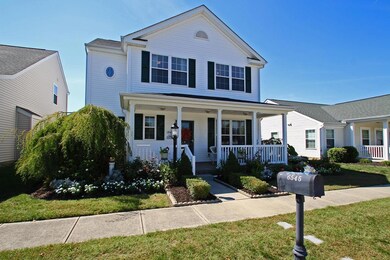 6545 Steen (4)