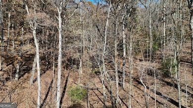 LOT 183 N Shore Dr, Cleveland, GA 30528 - photo 4