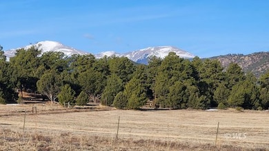 TR-36 23rd Trail, Cotopaxi, CO 81223 - photo 3