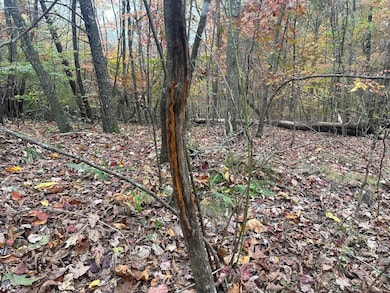 0 Jericho Rd unit 25758594, Walker, WV 26180 - photo 5