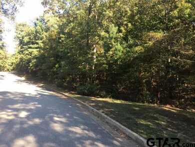 3005 Stonegate Blvd, Tyler, TX 75703 - photo 5