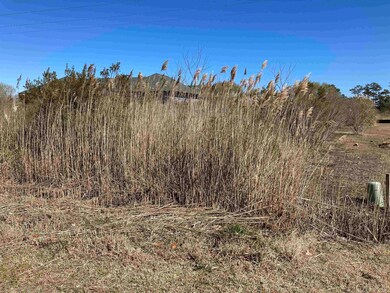 282 Bayview Dr, Stumpy Point, NC 27978 - photo 3