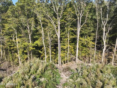 DJI_20241007101259_0021_V