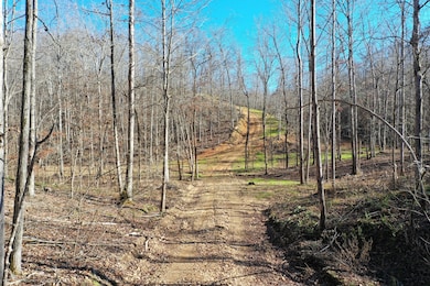 0 Bell Branch Rd unit RTC3054459, Nunnelly, TN 37137 - photo 7