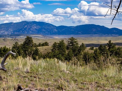 172 Wolfe Rd, Hartsel, CO 80449 - photo 2