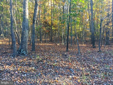 0 Cardinal View Rd unit 1003658583, Augusta, WV 26704 - photo 2