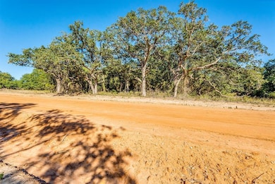 163 Graystone Dr, Weatherford, TX 76088 - photo 7