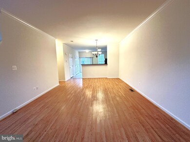 25145 Shultz Terrace, Chantilly, VA 20152 - photo 4