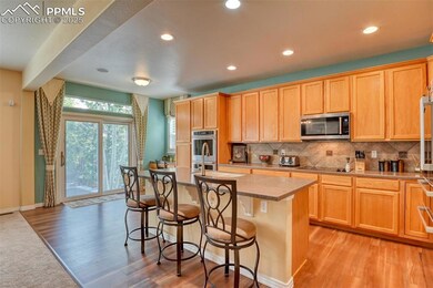 5718 Paladin Place, Colorado Springs, CO 80924 - photo 6