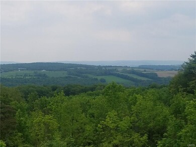 Stunning view off the back deck.  Surrounded by pr