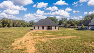 10 Taylor's Place Ln, Conway, AR 72034 - photo 4