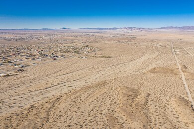 DJI_0537