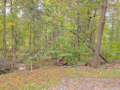TBD Fairlake Ln, Laurel Fork, VA 24352 - photo 2
