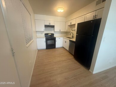1107 E University Dr unit 308, Mesa, AZ 85203 - photo 4