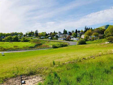 438 S College St, Tekoa, WA 99033 - photo 5