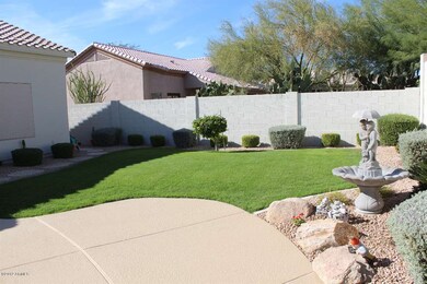 Resort Style Yard
