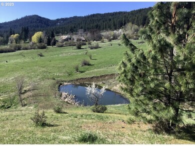 35901 Valley View Ln, Halfway, OR 97834 - photo 3