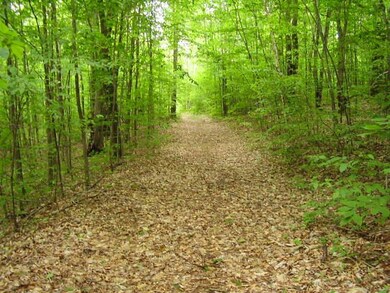 Alternate View #1 of Trail