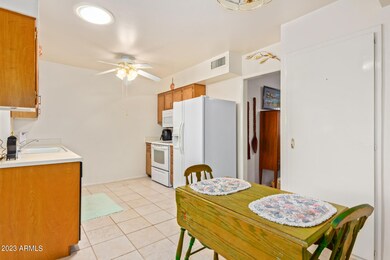 11135 W Emerald Dr, Sun City, AZ 85351 - photo 3