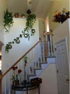 27 Palomino Dr, Franklin, MA 02038 - photo 5