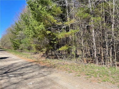 33 Austin Rd, Albion, NY 13302 - photo 7