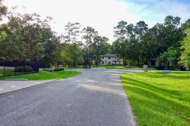 28607 Laurens Landing, Spring, TX 77386 - photo 3