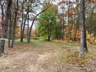 925 W 11 Mile Rd, Bitely, MI 49309 - photo 6