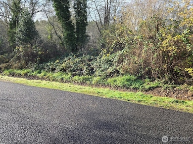 0 NKA Kendrick and Wier St, South Bend, WA 98586 - photo 2