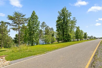 0 Sunset Cir unit 1505065, Jasper, TN 37347 - photo 4