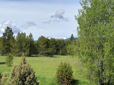 Meadow & Mountain Views