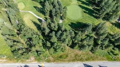 4th green and #5 tee box, lot to right
