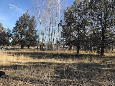 4402 SW Lava Ave, Redmond, OR 97756 - photo 4