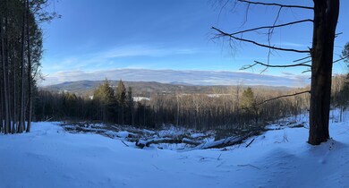 0 Mosquito Schoolhouse Rd unit 4951885, Newport, NH 03773 - photo 5