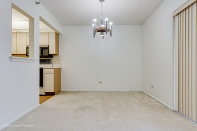 18501 Wentworth Ave unit 1A, Lansing, IL 60438 - photo 7