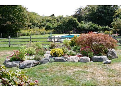Yard/Garden.